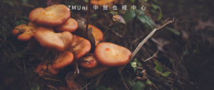 资讯/缺省