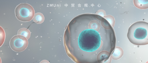 资讯/缺省