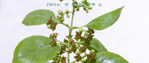 资讯/缺省