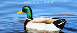 资讯/缺省