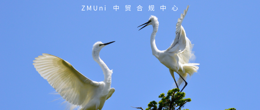 Dive into New Opportunities: China Opens Application Channel for Aquatic Wildlife Management Special Identification - News Directory 3