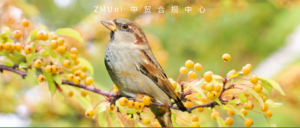 资讯/缺省
