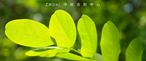 资讯/缺省