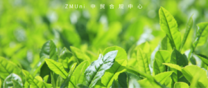 资讯