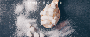 资讯/缺省