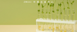 资讯/缺省