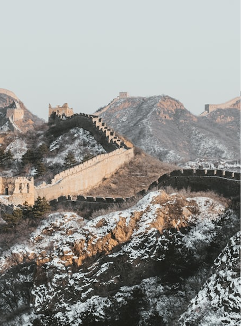 新食品原料申报