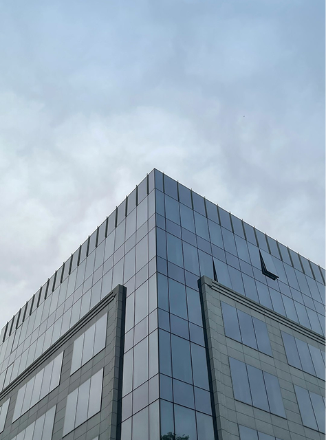 欧盟新型食品Novel Food申请