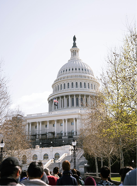 美国公认安全认证（GRAS）