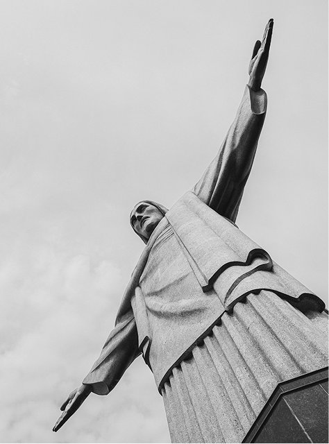 巴西新食品原料申报